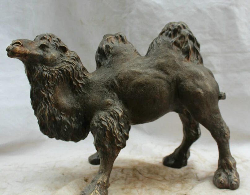 

S5970 20" Chinese Bronze Feng Shui animal Bactrian camel llama desert Statue sculpture D0318
