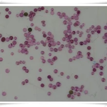 100x Топ колпачок Драгоценности для часов старый запас ремонт часовщиков запчасти Часы