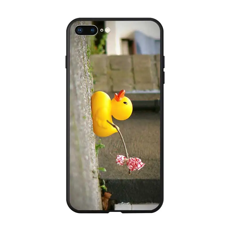 duck14