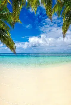 

Blue Sky Photo Backdrop Background Baby Photography Children Hawaii Beach Summer palm tree Photo Booth XT-6900