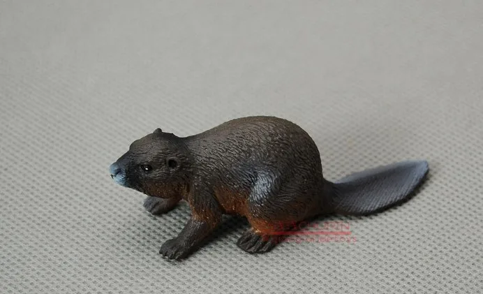 Animas ! solid animal model toy beaver evocation d...