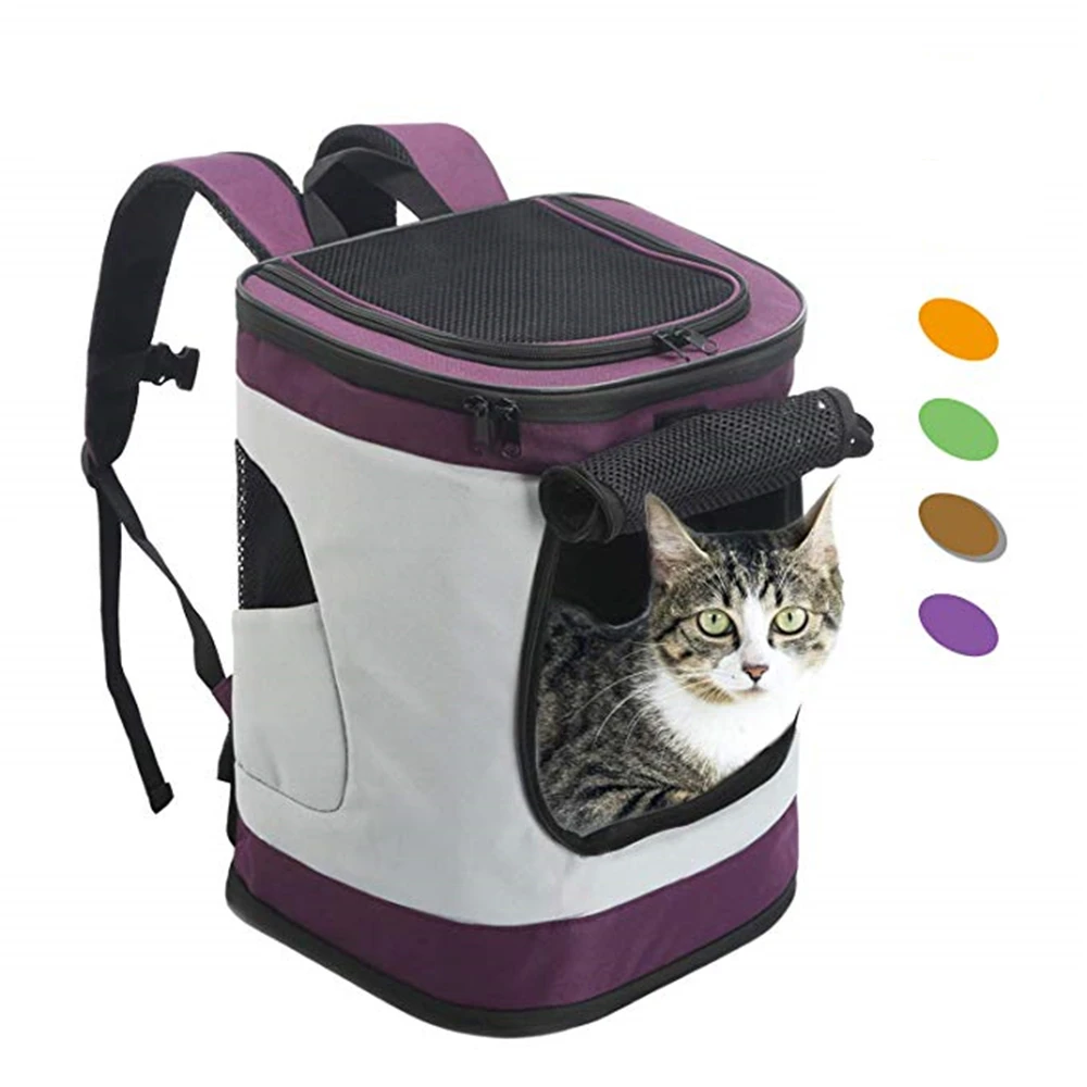 Double Pet Carrier Airline