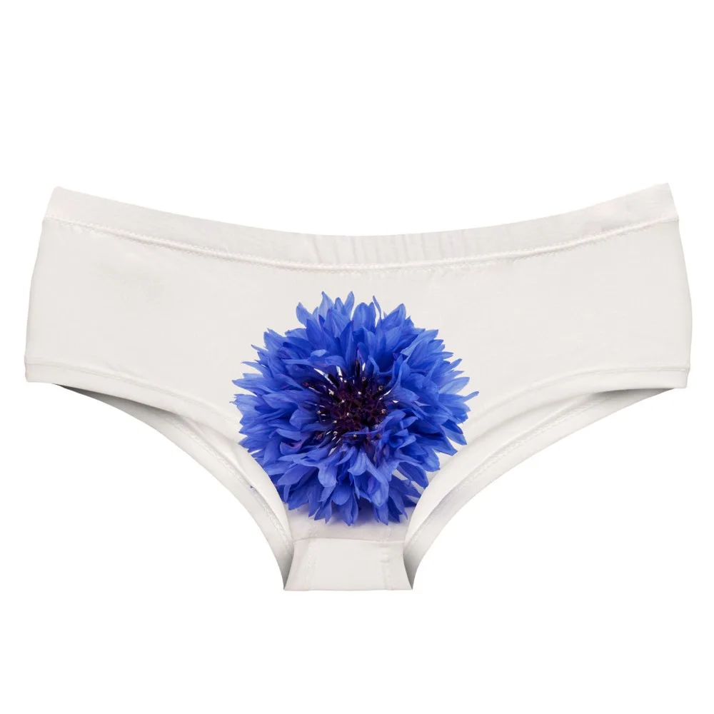 54975 haber flower (3)