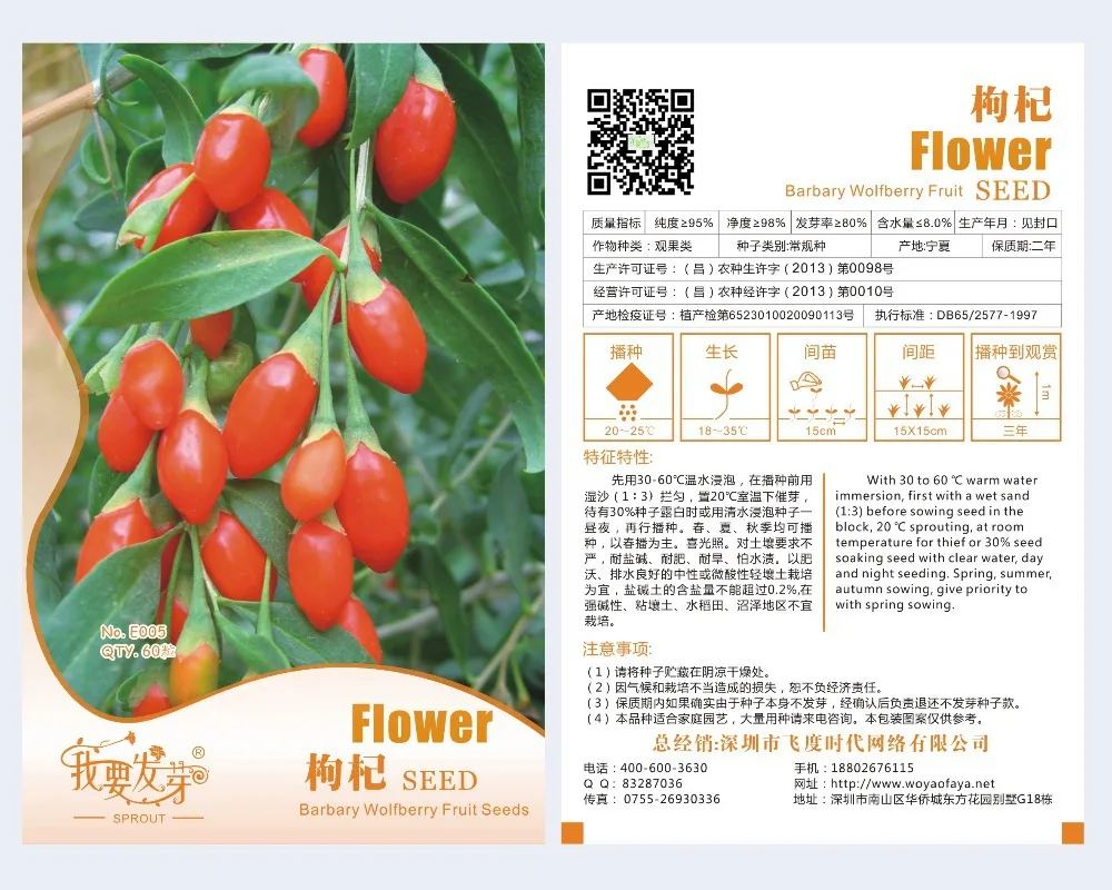 Barbary Wolfberry Fruit Seeds Health Benefit Medlar Goji Berry Lycii