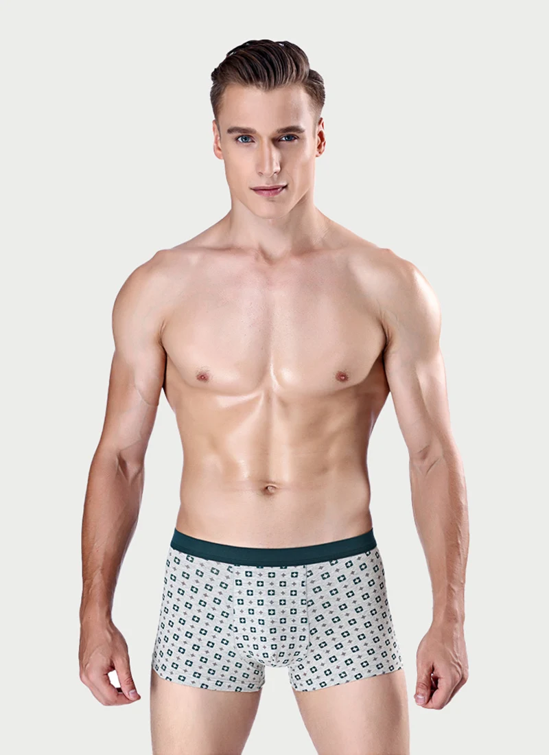 boxer011