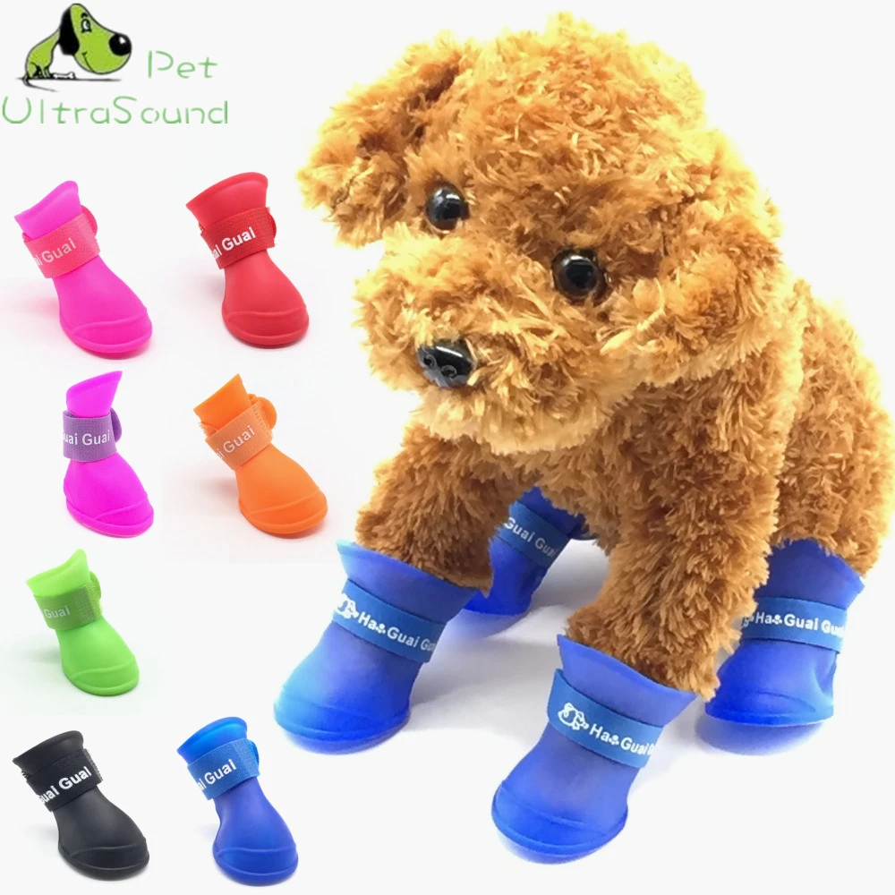Köpek Ayakkabıları