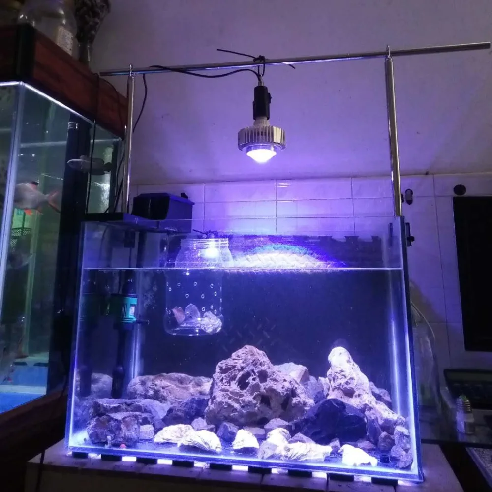 2 шт/лот подгоняемые цвета CREE светодиодный аквариум лампа для аквариума лампы риф освещение для кораллов для соленой воды морской SPS LPS освежитель рыбы