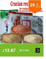dianxiaobao