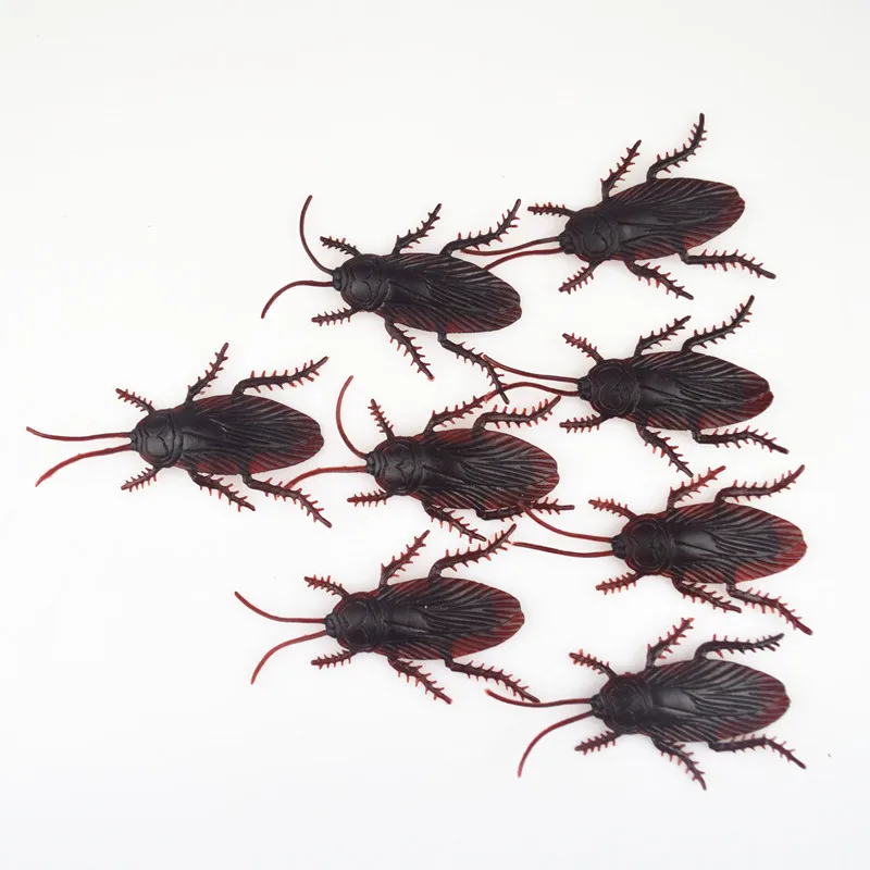 4416347171_805265677