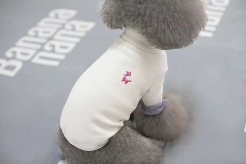 dogs clothes chihuahua (7)