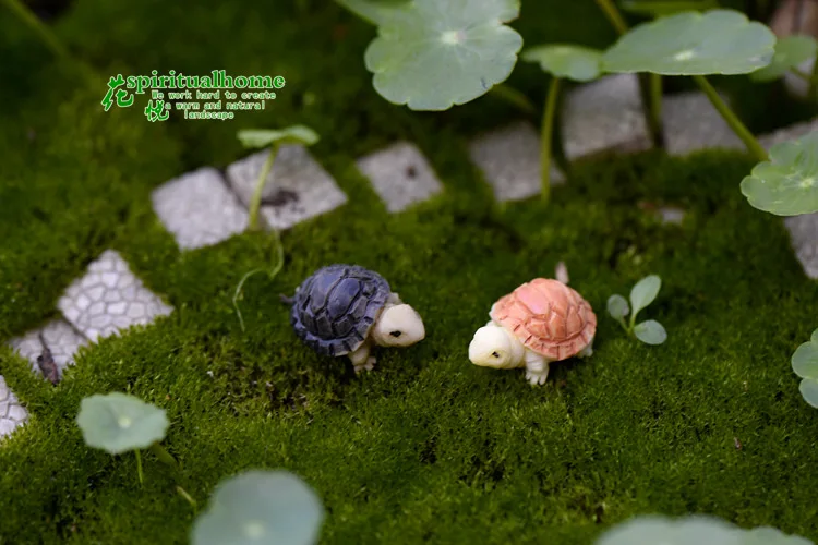 Ornaments Bryophyte Micro Landscape Meaty Plants Two Colored Small Turtles Tortoise Shells for Diy Home Decor Miniature Garden ornament crafts miniature figurines resin ornaments miniature ornament resin crafts