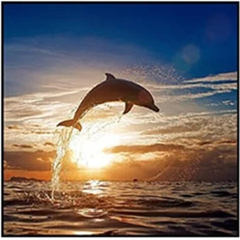 

3D Diamond Painting Cross Stitch Pattern 5D Diamond Embroidery diamond Mosaic Resin Home Decor DIY Sunset dolphin hand art AS096