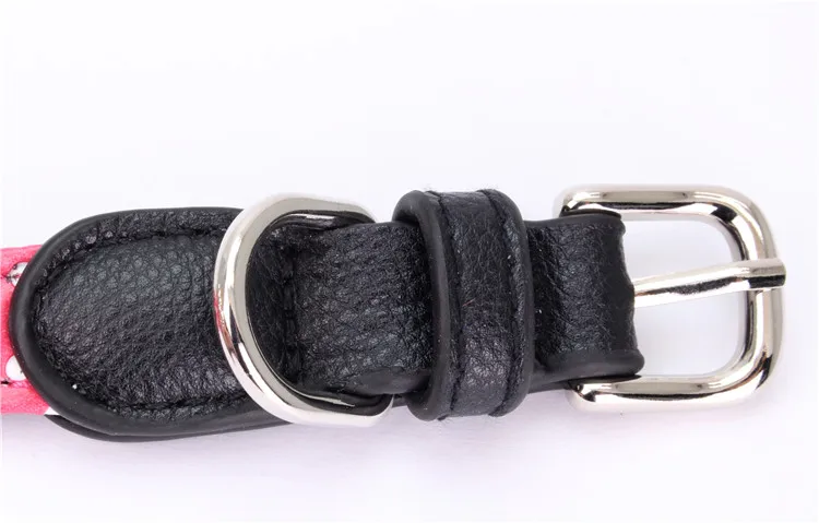 dog collar (7)