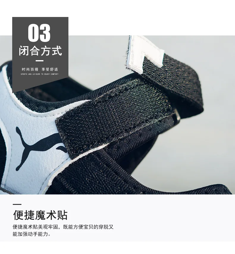 8588678239_1919636530