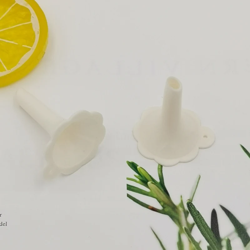 10339239017_1545257198_