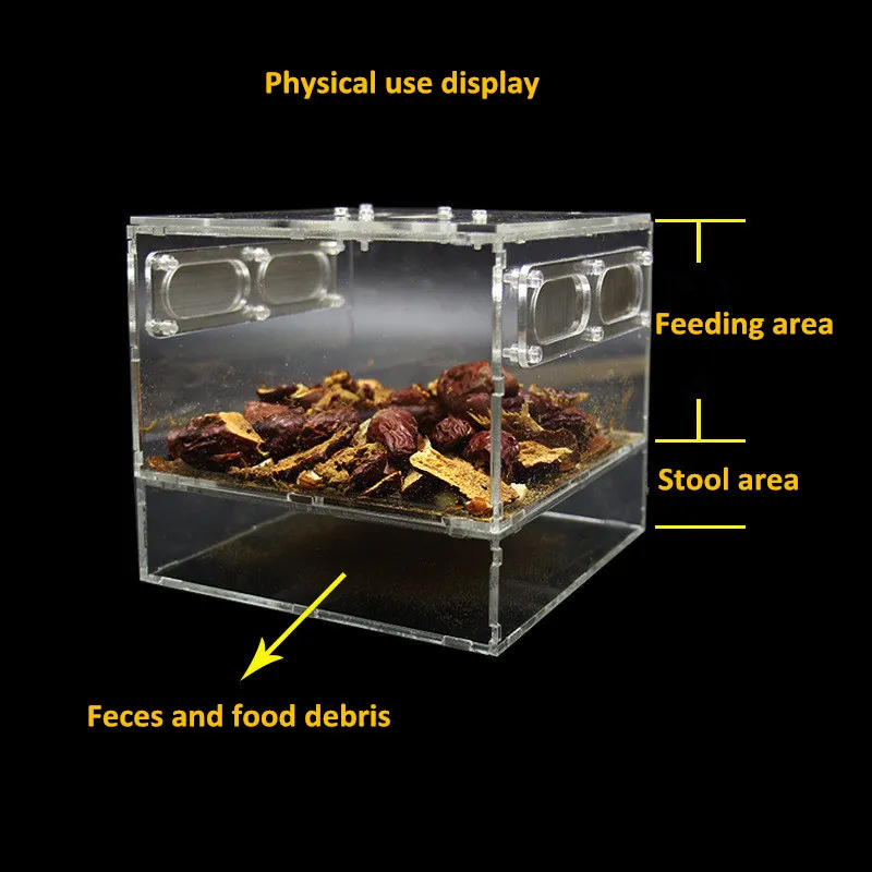 Kowloon Bug Feeding box insect acrylic breeding box reptile suppliesin