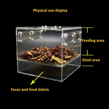 

Kowloon Bug Feeding box insect acrylic breeding box reptile supplies