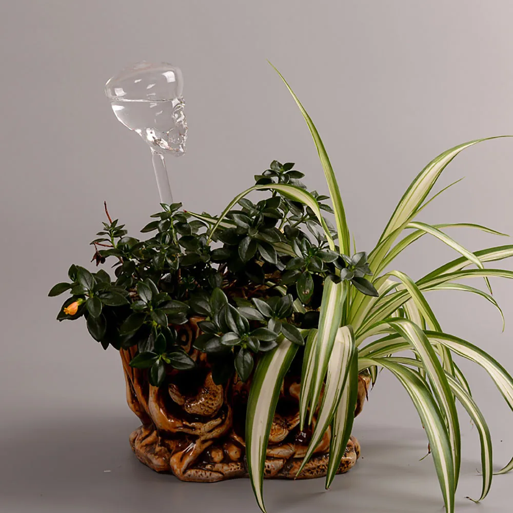 Комнатное автоматическое устройство для полива растений и растений в форме черепа, спринклерное устройство, банки для воды, прозрачное стекло в форме птицы, устройство для полива