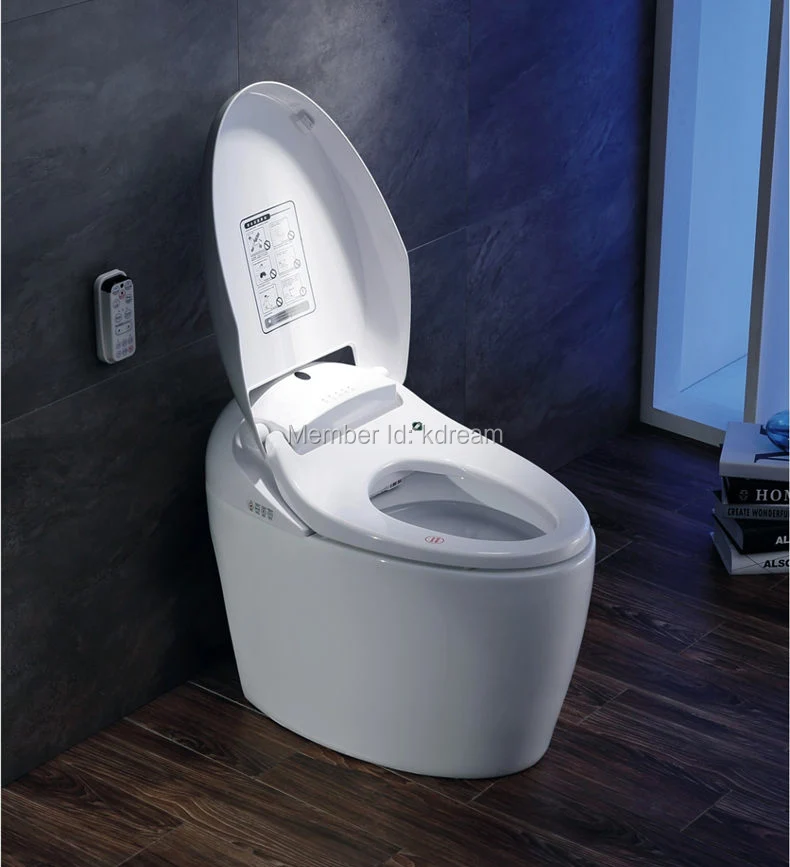 New Style Built In Bidet Electronic Water Saving W C Automatic Smart