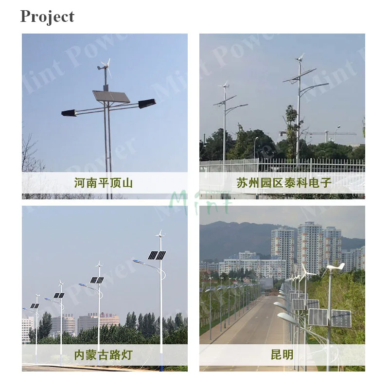 Project