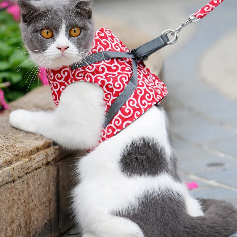 Кошка шлейка и поводок набор светоотражающий котенок щенок куртка для собаки сетка Одежда для животных маленькие собаки, питомцы прогулки на открытом воздухе