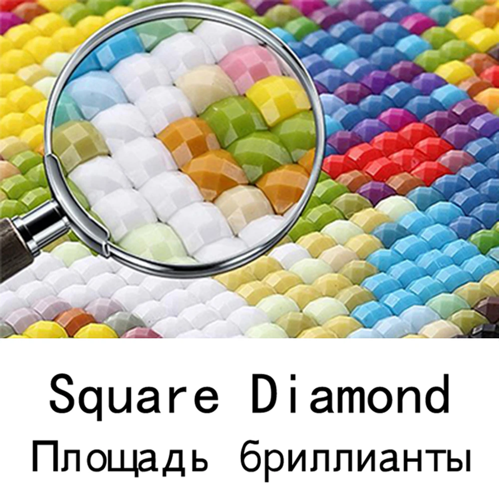 DIY фото на заказ Алмазная картина Картина Стразы Алмазная вышивка бисером вышивка крестиком полностью Квадратный бриллиант, 5D мозаика - Цвет: Square Diamond