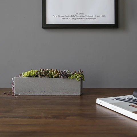 Szilikon Penész Cement Edények Muti-Hús Növények Alakú Beton Padló Cserepes Formák - Image 2