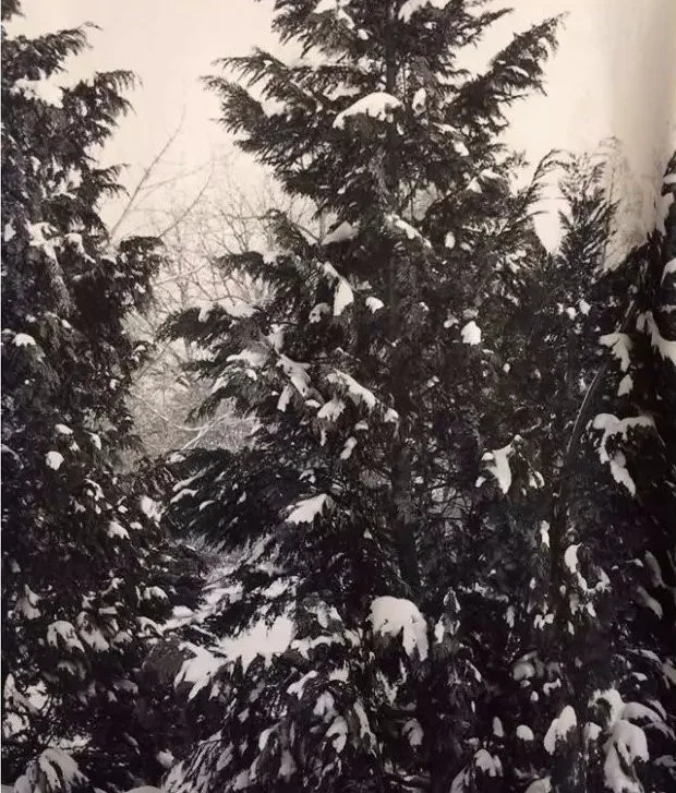 78