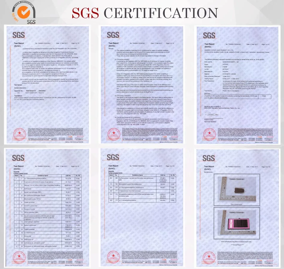 SGS