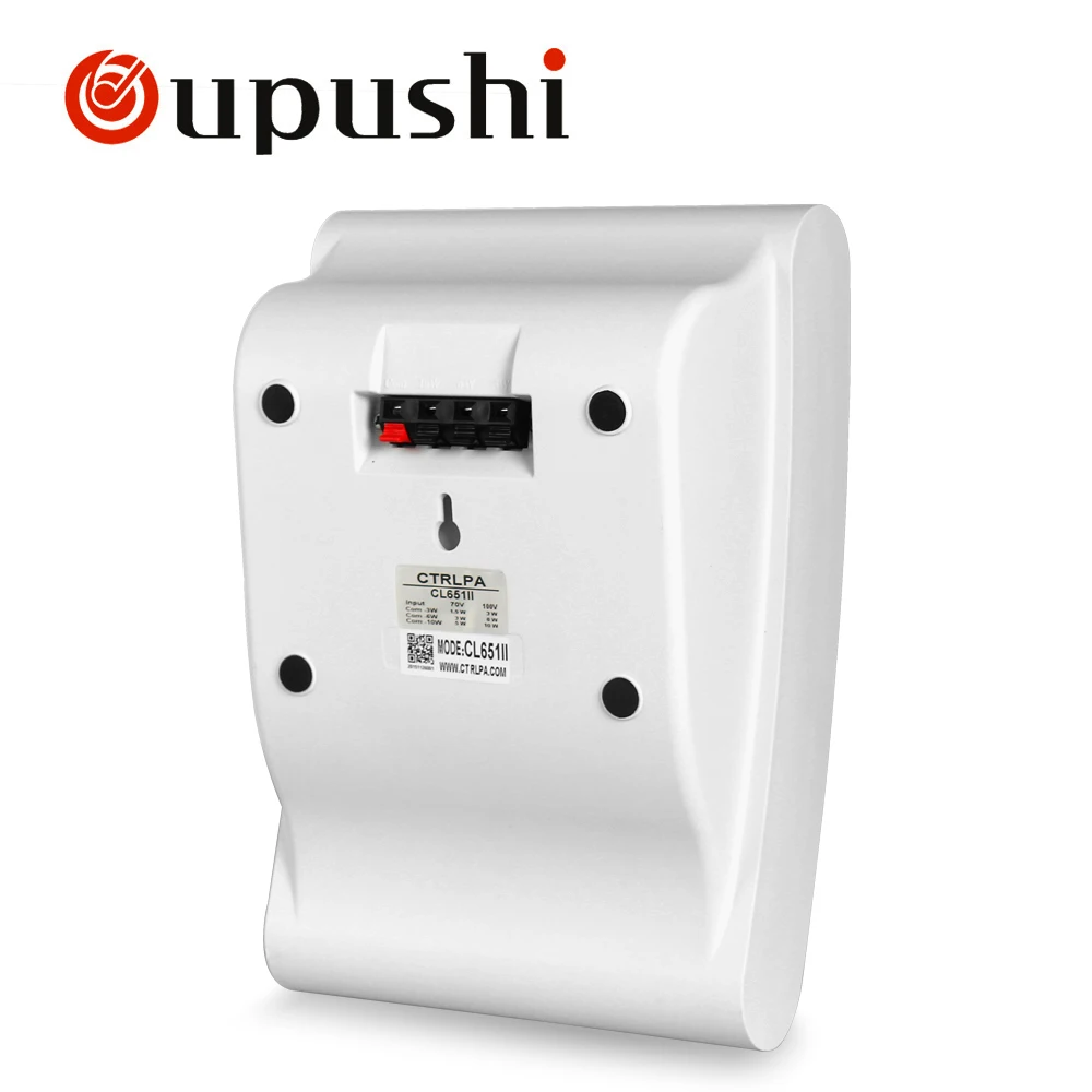 Oupushi Public Address System 110V Classroom Wall