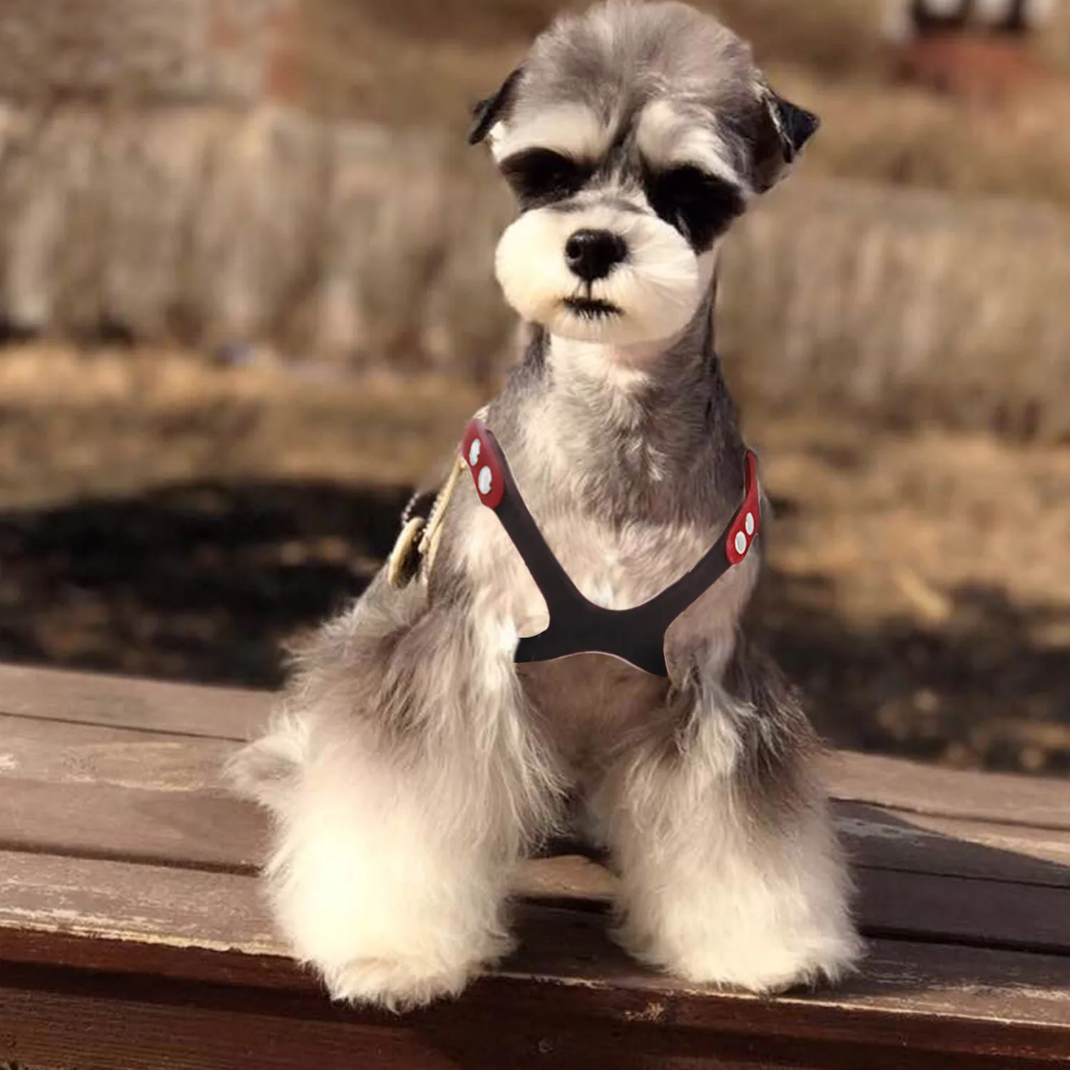 Behogar Adjustable Safety Dog Harness Chest Strap Pet Supplies for Small Medium Dog Chihuahua