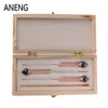 ANENG 3 Pcs 0-100% Hydrometer Alcoholmeter Tester Set Alcohol Concentration Meter + Thermometer  High  quality ► Photo 1/6