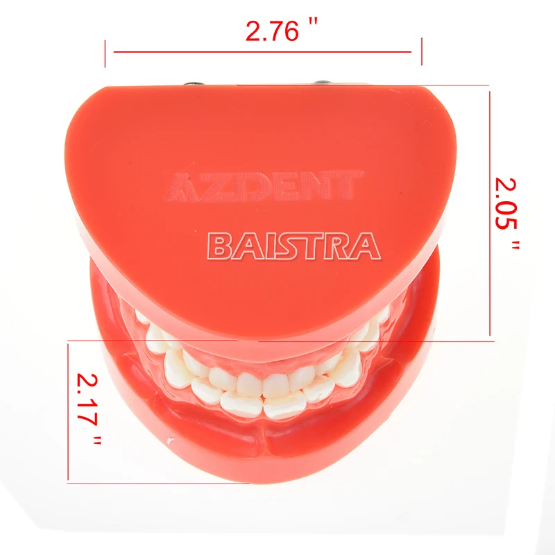 Стоматологический протез Зубы Модель челюсти Стандартный типодонт демонстрация протез обучающая модель стоматолога симулятор техник инструменты