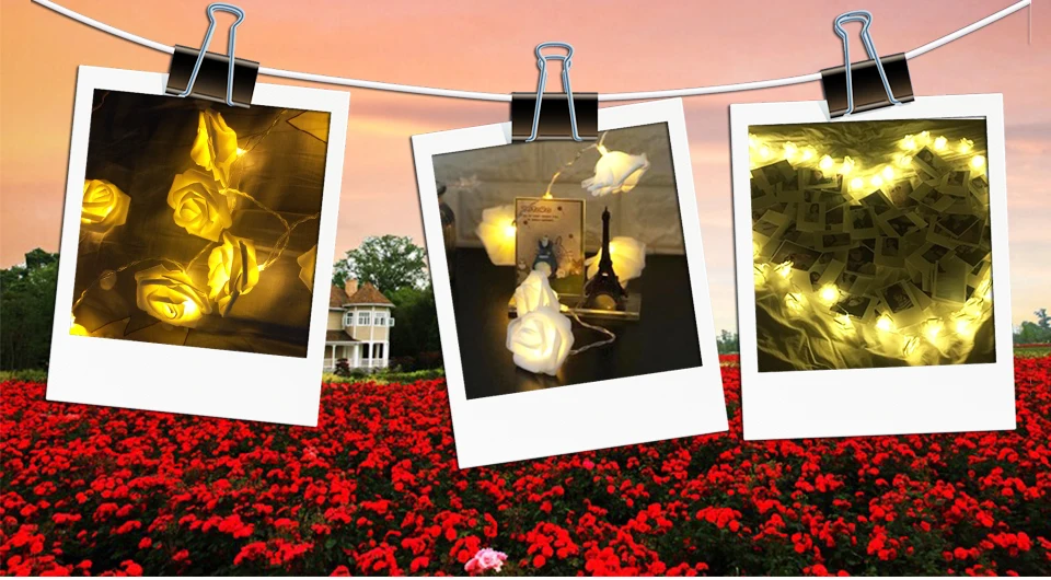 rose flower string lights (1)