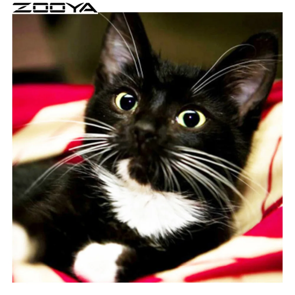 

ZOOYA Needlework Sale Diamond Embroidery 3d Diamond Painting Cross-Stitch Mosaic Diamond Animal Black Cat Mosaic Pictures RF1169