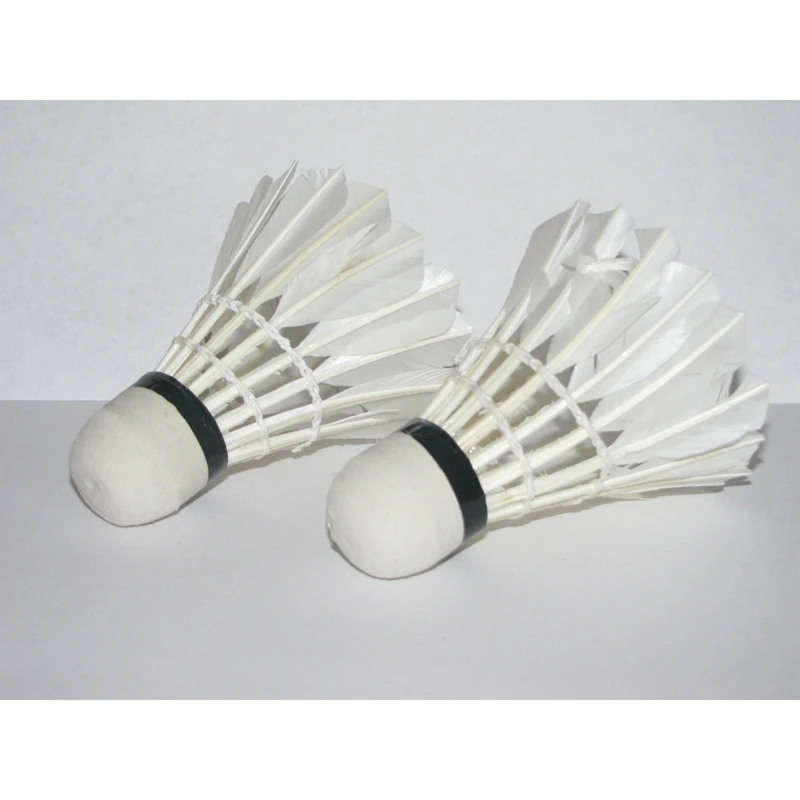 

LED Light-Up Badminton Birdies (Set of 2) Shuttlecocks Shuttlecock Feather