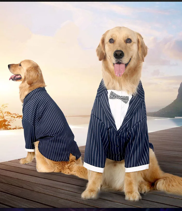 Собачий костюм для мальчиков, фрак, смокинг, пудель, мопс, французский бульдог, золотистый ретривер, одежда для собак, пальто, свадебное платье, мужской костюм для домашних животных