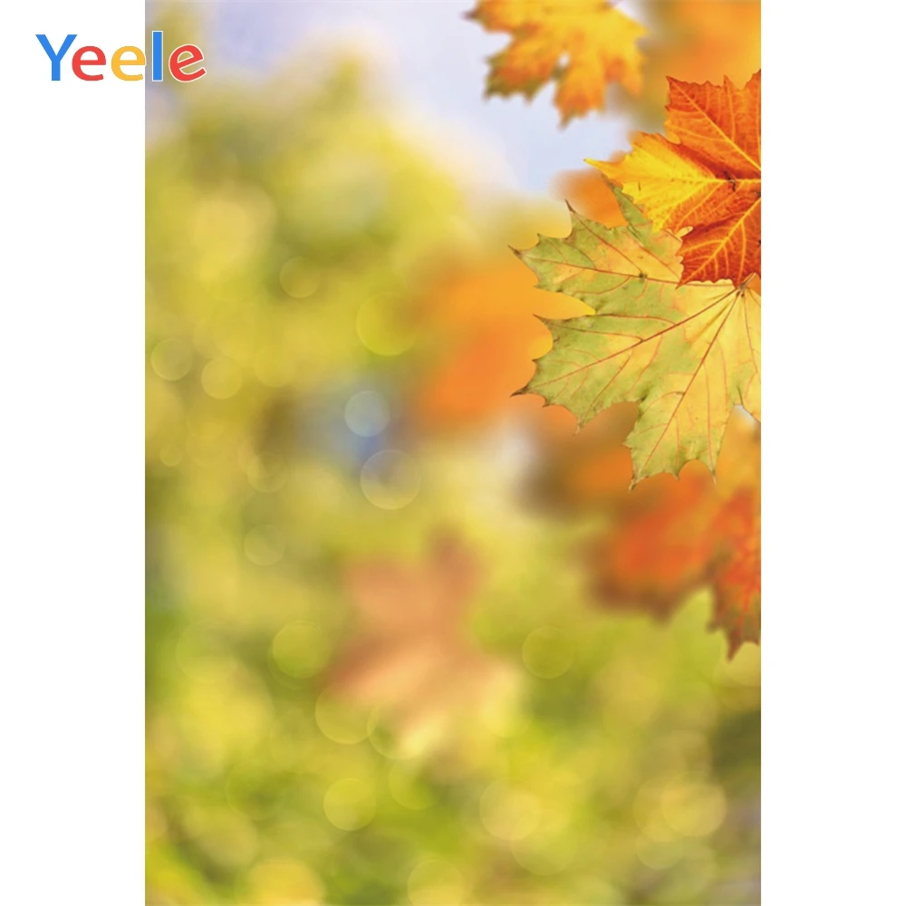 

Yeele Green Leaves Light Bokeh Virtual Focus Scenery Photography Background Personalized Photographic Backdrops For Photo Studio
