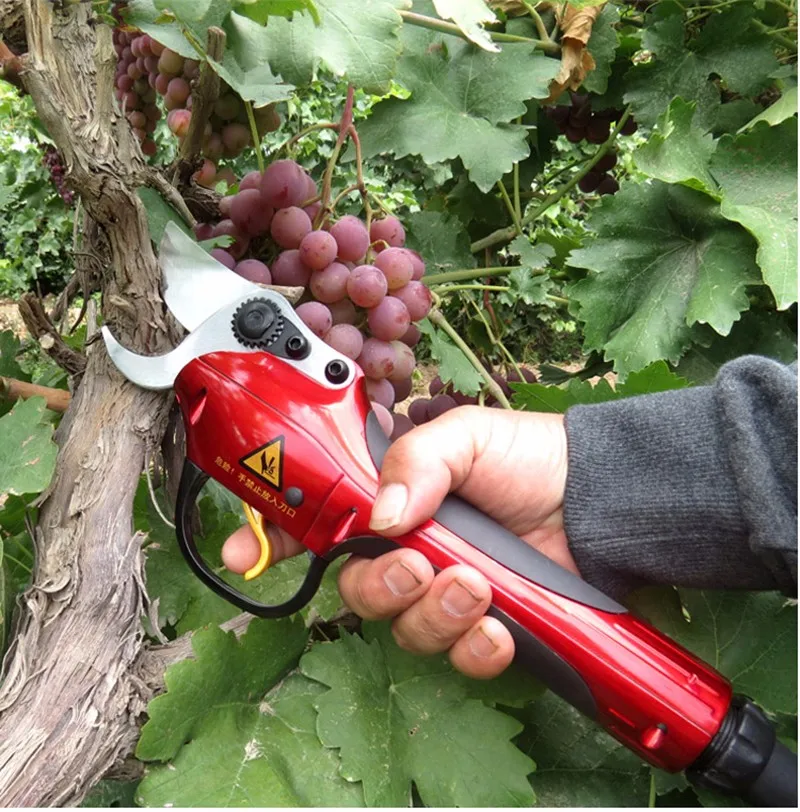 

Electric Pruning Tool Garden Scissor Tree Pruner Garden Shears (Complete set of Scissors for Garden and Orchards) SCA1