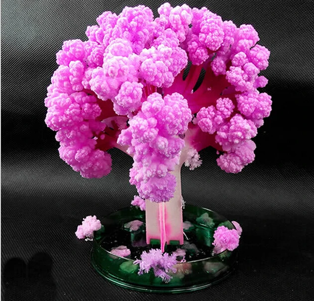 

2019 135mm H Japan Pink Big Magic Grow Paper Japanese Sakura Tree Magically Growing Trees Kit Desktop Cherry Blossom Kids Toys