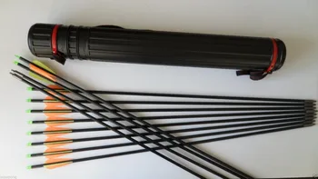 

12pcs Fiberglass Arrows 33"+1 Arrow Quiver Sealed Tip for Compound Bow Hunting