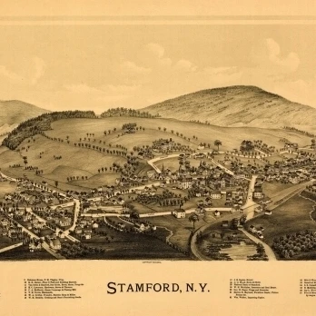Historic Map of Stamford New York 1890 Delaware County Poster Print (36 x 54)