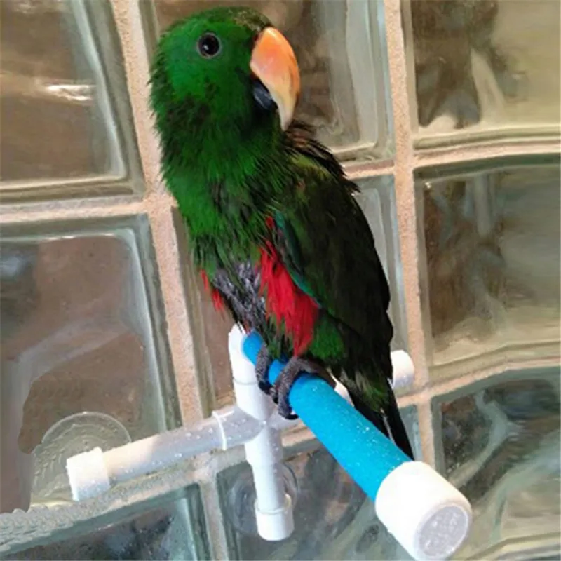 Пластиковая стойка для ванной и душа с попугаем, стоячий душевой окунь для попугая, игрушка для попугая, аксессуары для домашних животных