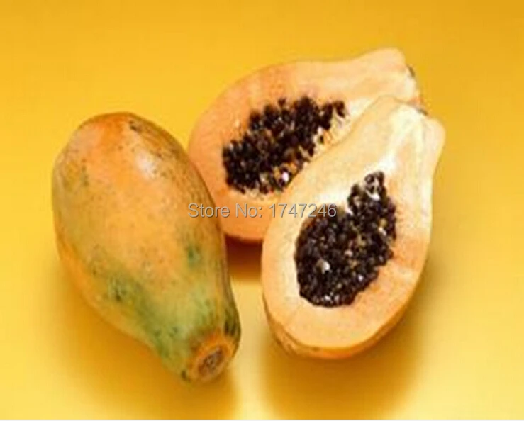 Hot sale Organic papaya juice powder 100 pure natural papaya powderin