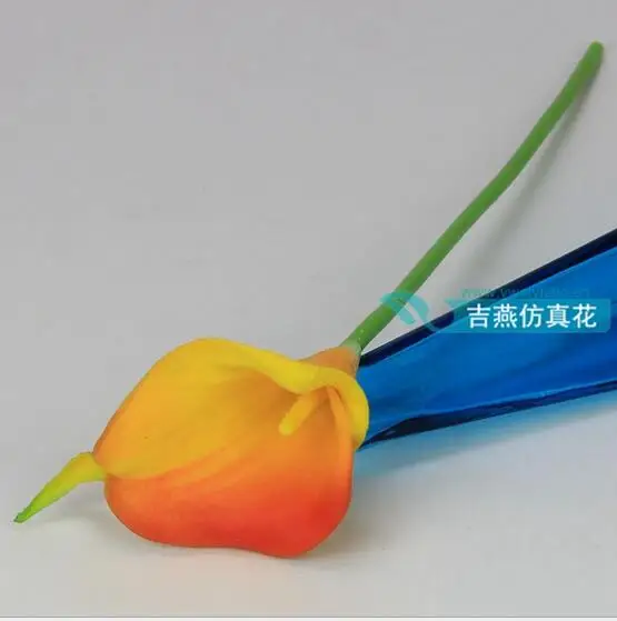 QQ20170508233656