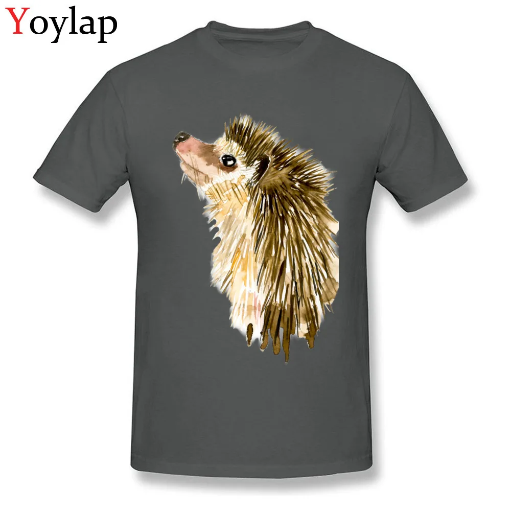 Adult T Shirt Crazy Normal Short Sleeve Summer Fall Tops T Shirt Plain Round Collar 100% Cotton Tee-Shirt Watercolor Little Hedgehog carbon