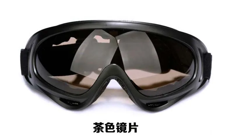X400 goggle (4)