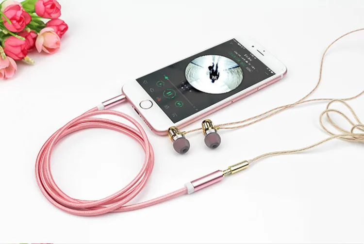 audio cable (12)