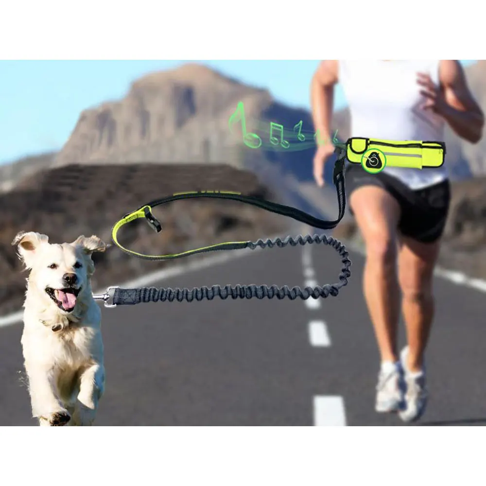 Fashionable Waterproof Sport Pocket Leads Pet Dog Running Leash