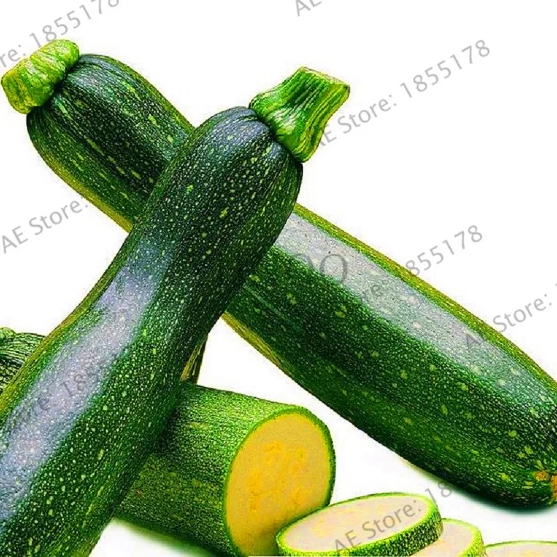 

Genuine!20 Pcs Rare Summer Squash Plants Organic Heirloom Bonsai Zucchini Garden Vegetable Rruit Plantas Potted Plant For Home